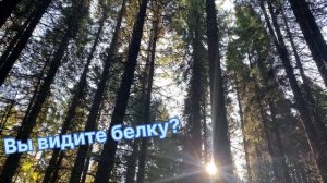 Кто с нами на прогулку?