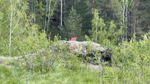 Георгиевские шермиции. Ансамбль "Вольно Полюшко".11.03.2024