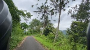 Куда ты едешь (WYG) s1e5 - TVS Ronin на Бали