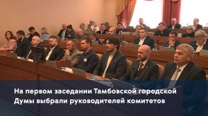 На первом заседании Тамбовской городской Думы выбрали руководителей комитетов