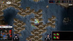 ASL 20 Ro8 Bisu vs Larva Game 1 Старкрафт | Starcraft