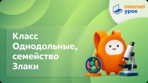 Биология 6 класс. Класс Однодольные, семейство Злаки