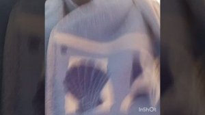 видео из 2024🥺 с моей подругой Аней🥺