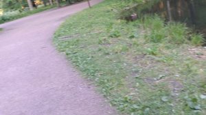 Сериал Петербургский Вальс 2 сезон | Серия N°5 | Ссылки на серии в описании