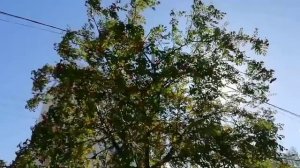 В нашей вере, и надежде, и любви