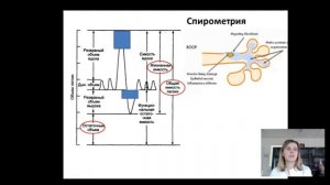 Хроническая реакция «трансплантат против хозяина» (РТПХ) легких