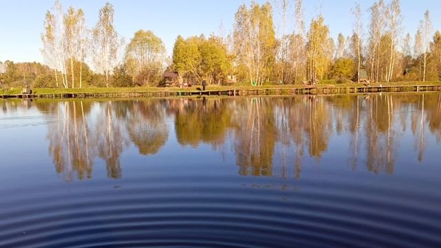 зарыбление форели,форелевая рыбалка РК 