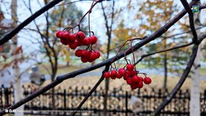 Утренний город