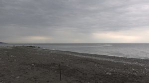 Пришла осень в Сочи