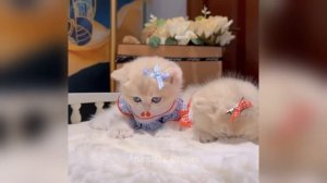 Смейтесь 😁