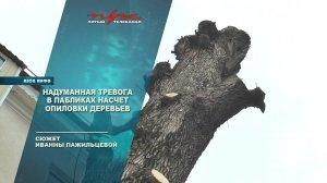Надуманная тревога в пабликах насчет опиловки деревьев
