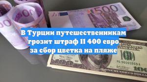 В Турции путешественникам грозит штраф 11 400 евро за сбор цветка на пляже