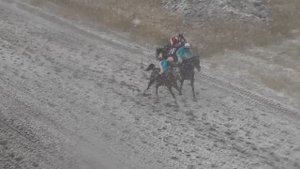 Скаковой день 27 сентября. Дистанция 1600 м. Күндүмэн