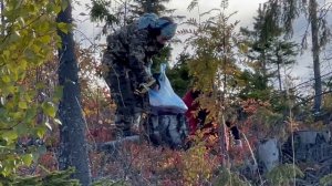 Ничего не даётся совсем просто так