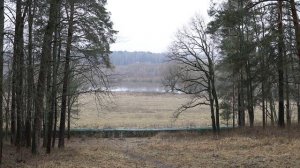 Видеопоэзия. Юрий Кублановский.