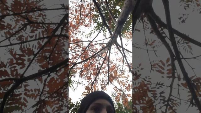 находки вторая часть