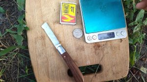 Гф Александр Лукашенко селекции Донского Казачества с потрясающей ягодой.