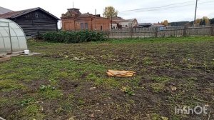 30 сентября 2025 года.Жизнь в деревне.Сажаю лук, чеснок.