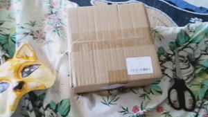 Приехала моя маска лисы! Нахожу отличия. Предлогайте окрас в комментариях!