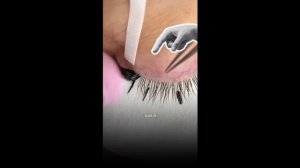 Учимся правильно выделять ресницы