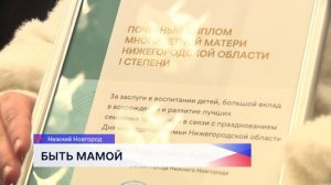 Многодетных матерей наградили в Нижегородской области