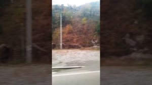 ЭТНО-ФЕСТИВАЛЬ "ВЕСЬ МИР-МОЙ ХРАМ" 2025.ЧАСТЬ 1