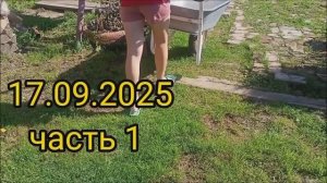 17.09.25/часть 1/рыбка/лук порей