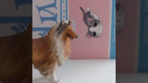 Новости. читайте описание