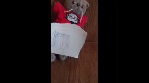 смешное видео 😂 с басиками Басятки