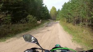 Глухарка🦃