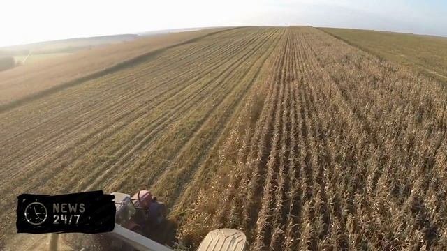 Пасечник: объем сельхозпроизводства в ЛНР вырос на 35% за 3 года в составе России