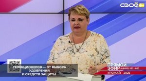 В Ставропольском крае аграрии успешно используют проверенные сорта озимой пшеницы красноярской