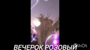 Белла и Пуша часть 2