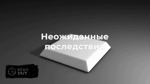 10 жителей Магаданской области оказались в больнице из-за кошки