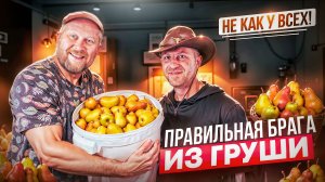 Как сделать брагу из груши и не потерять аромат !!!