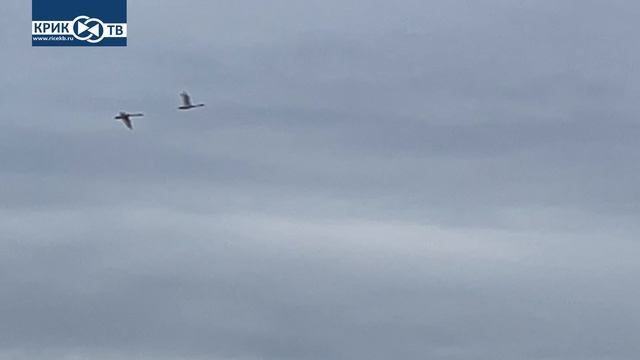 "Клуб охотников и рыболовов" выпуск 216 Рыбалка в Арктике часть 2.