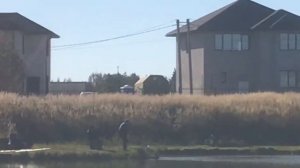 ещё одна форель в зачёте