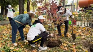 (12+) Сотни мытищинцев приняли участие в акции «Сохраним лес вместе»
