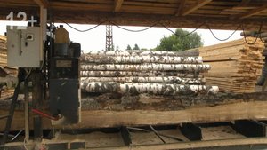 Георгий Лысогоров поблагодарил коллектив за профессиональную работу