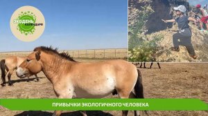 ЭКОДЕНЬ КАЛЕНДАРЯ. ВЫПУСК 9. ВСЕМИРНЫЙ ДЕНЬ ТУРИЗМА