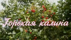 Горькая калина. Стихи - Е.Васюнина, монтаж и генерация звука в ИИ - Е.Доставалов