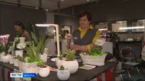 Выставка кактусов и суккулентов открылась в Иркутске