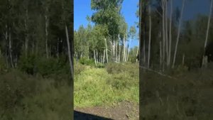 Уникaльный дом в п. Идиллия (Крeмeнкуль)! От застройщика