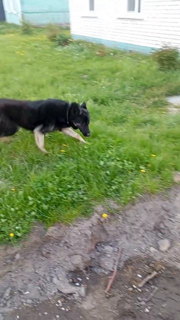 допрыгался смотреть онлайн