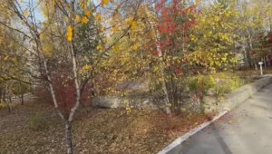 И ОСЕННИЙ ПОЦЕЛУЙ 💋 ВКУСНЕЙШАЯ АДЖИКА🤗🤗 ВИНЕГРЕТ У ВИНЕГРЕТА🤣