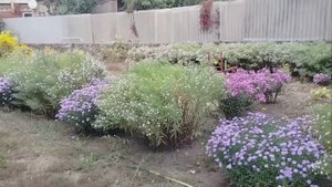 Последний день сентября.