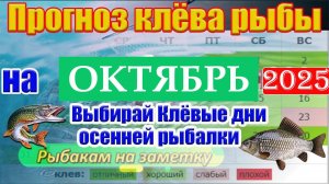 Прогноз клева рыбы на ОКТЯБРЬ 2025 года. Лунный календарь рыбака. Календарь рыбака на ОКТЯБРЬ