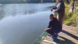 Поимка Форели на резину