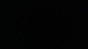 Правдивость