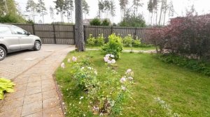 Где-то под Питером. В отпуск из Норильска. 11 серия.